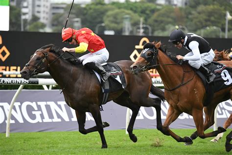 moir stakes 2021